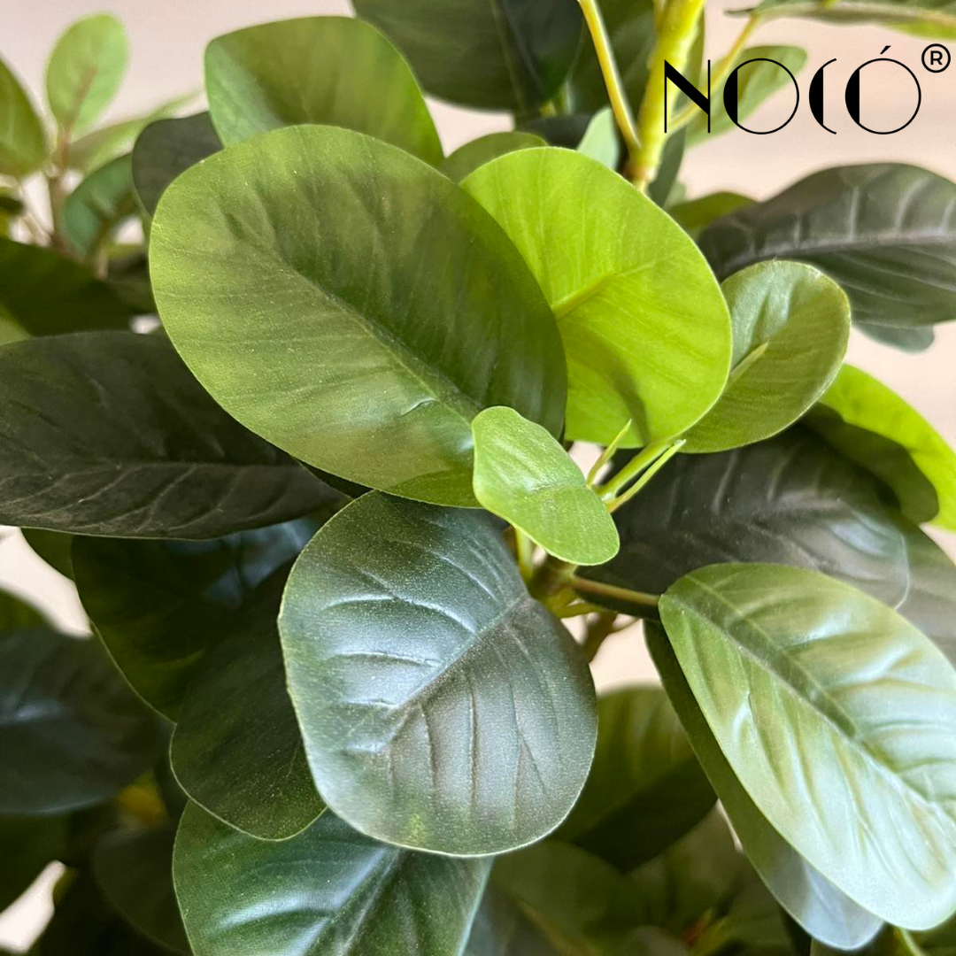 SleekBotanics™ Artificial Money Banyan Tree