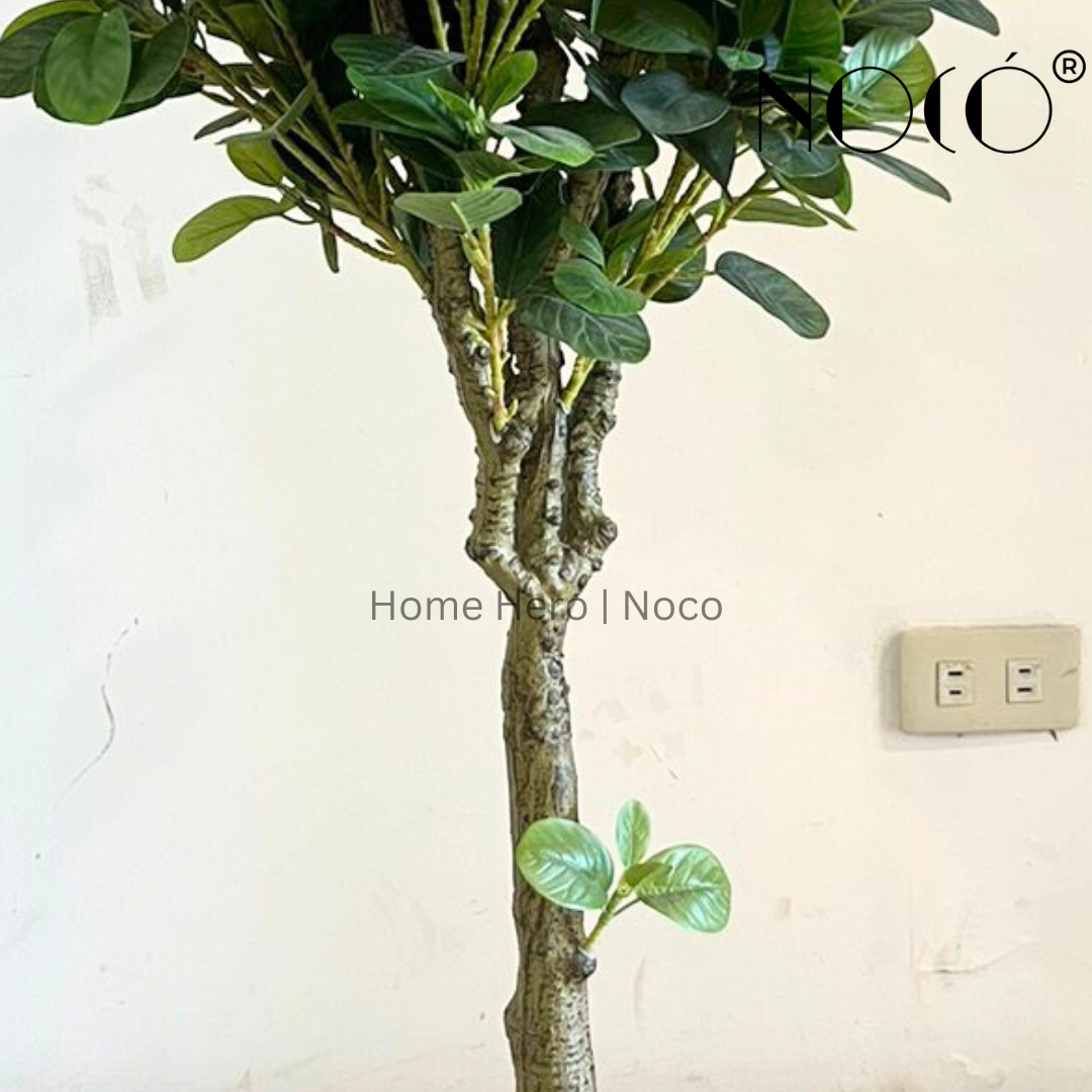 SleekBotanics™ Artificial Money Banyan Tree
